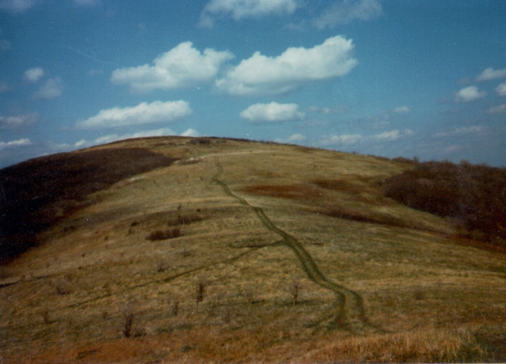 Hump Mt