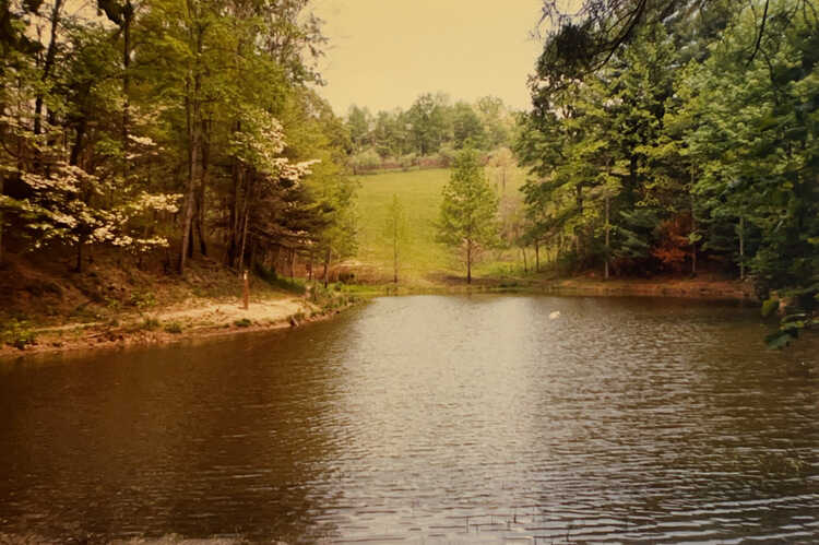 Pond