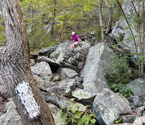 St Johns Ledges