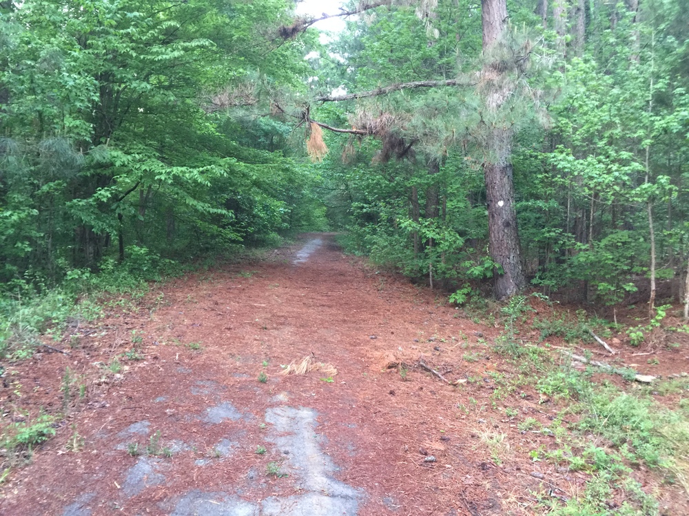 trail uses "old NC 98" for a while