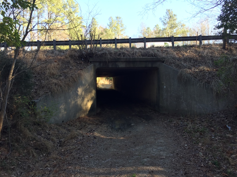 Tunnel under I-85