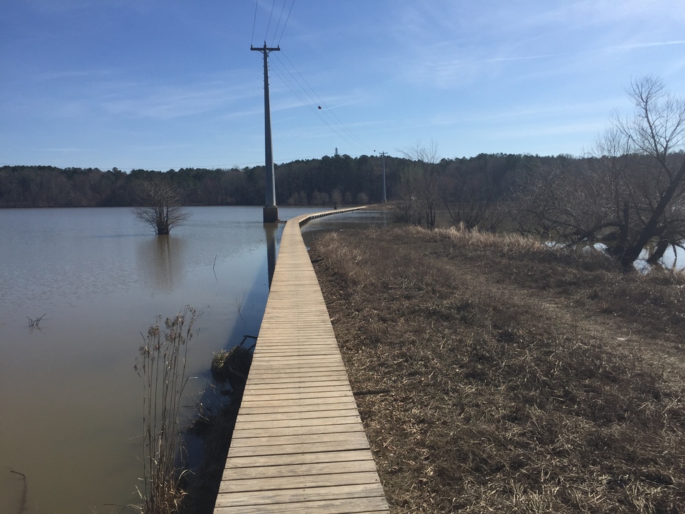 traversing a section of wetlands on a long boardwalk