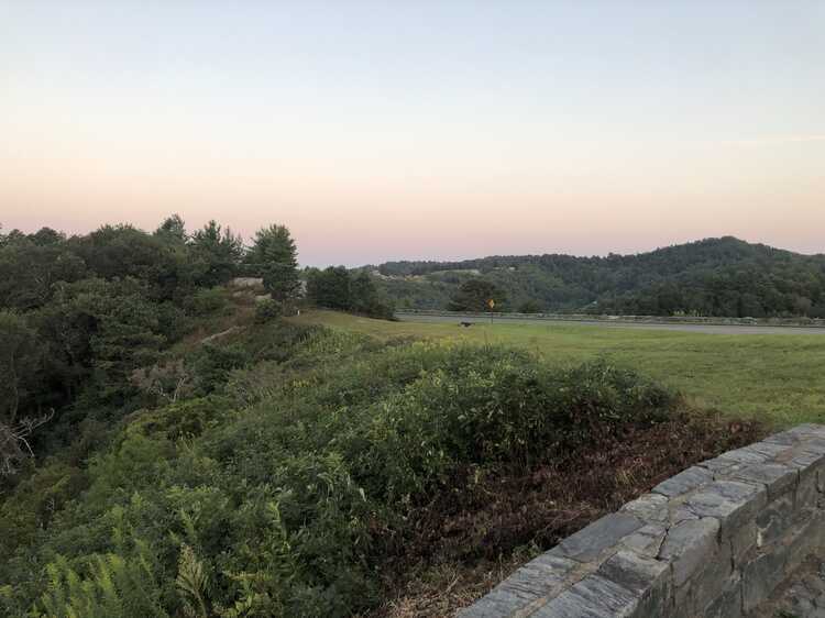 Alligator Back Overlook parking area (MP 242.3)