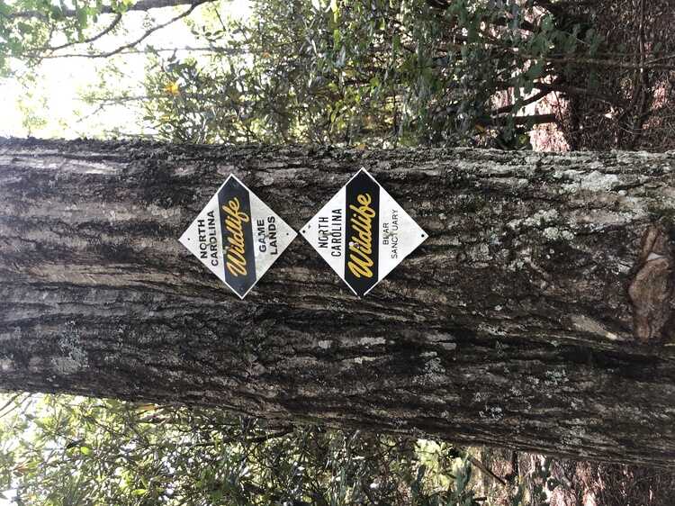 NC Game Lands and Bear Sanctuary