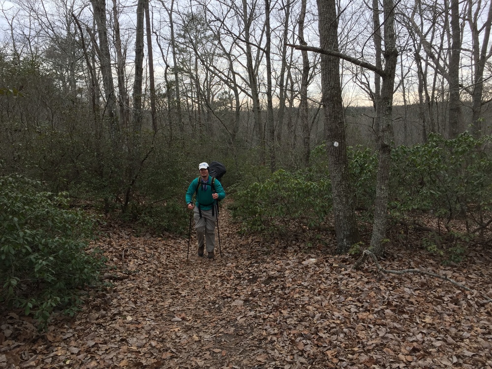 Hiking in the James M. Johnston Nature Preserve